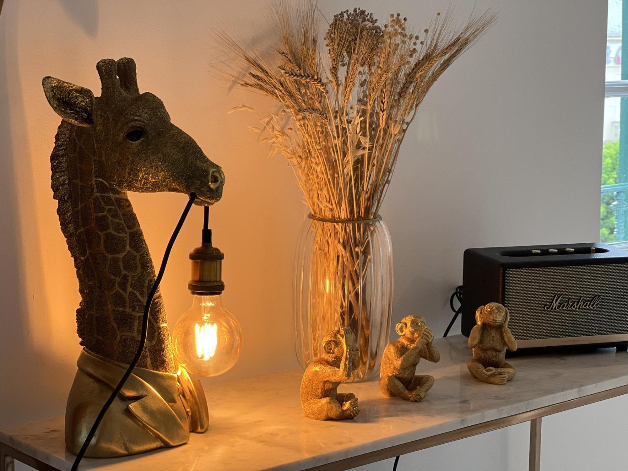 Apartmán Le Loft De Babolene Villefranche-de-Rouergue Exteriér fotografie